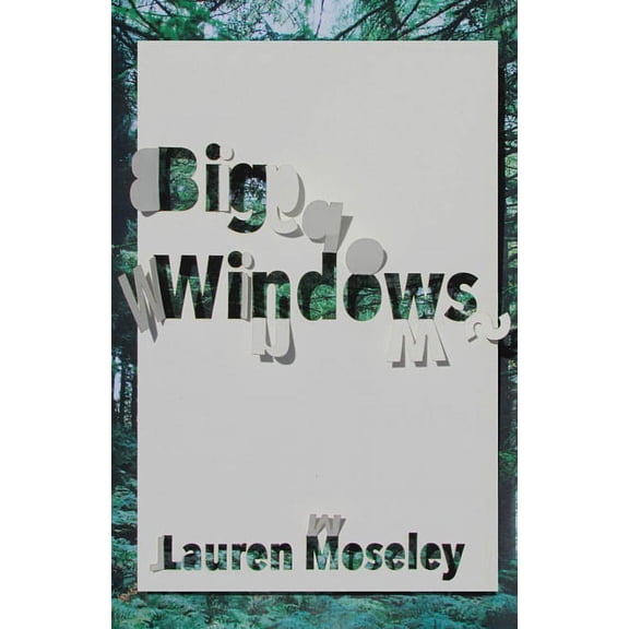 Big Windows (Paperback)