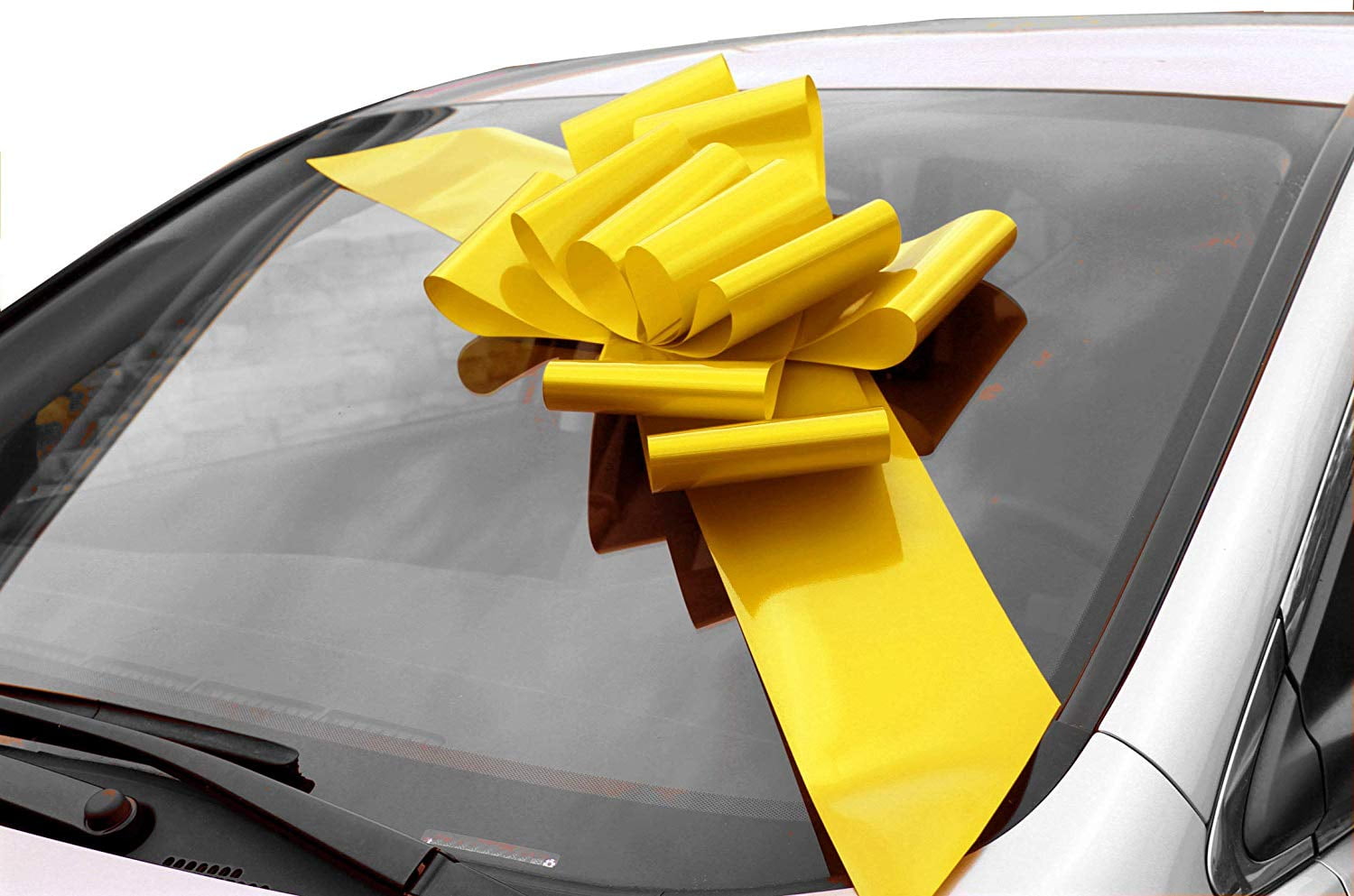 mardi gras wide ribbon