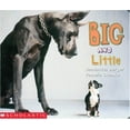 thumbnail image 1 of Pre-Owned Big And Little (Unknown) 0439155223 9780439155229, 1 of 1