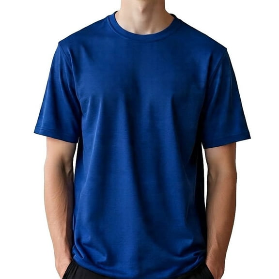 Big and Tall Mens Crew Neck Shirts - LCSS (Royal, 2XLT)
