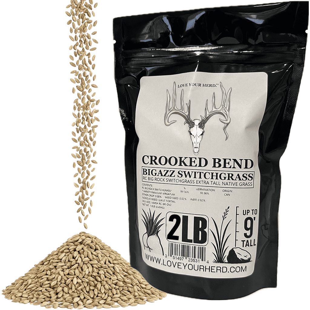 BigAzz Switchgrass Seed, Bulk RC Big Rock Variety, Extra Tall Drought-Tolerant Native Perennial Grass for Deer Habitat, Bedding Areas, Green Screens & Food Plots, 2 LB