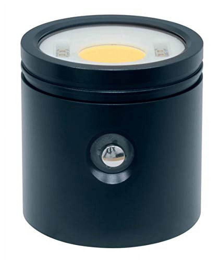 BigBlue Light Head for CB10000P-RC