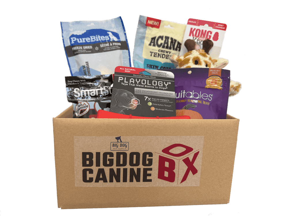 BigDog Canine Box, Treats and Toy Box, Large Dogs