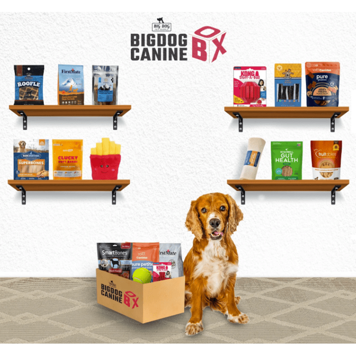 BigDog Canine Box, Treats and Toy Box, Medium, Minumum Six Goodies Inside