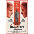 thumbnail image 1 of Bigamist (DVD), Team Marketing, Drama, 1 of 1