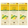 thumbnail image 1 of Bigelow Lemon Ginger Herbal Tea Bags 28-Count Box (Pack Of 3) Lemon Ginger Tea Bags Herbal Tea All Natural Gluten Free, 1 of 3