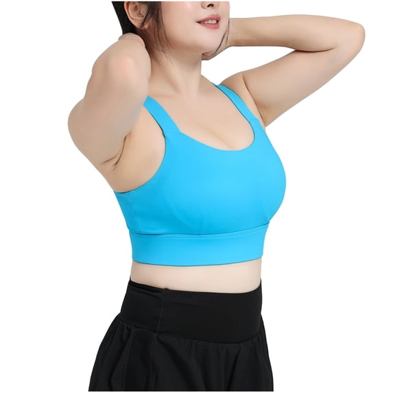 Bigersell Comfort Padded Underwire Bra Women's Double Buckle Vest Sport Underwear Bra Female Lace Bralettes for Women Spandex Full-Figure Bra Style 1020, Blue 3XL