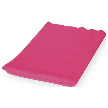 Bigersell Fleece Blankets 27" x 19" Soft Lightweight Flannel Throw Blankets for Couch, Sofa, Bed Small Size Comfy Plush Blanket Fall Winter Warm Blankets Hot Pink