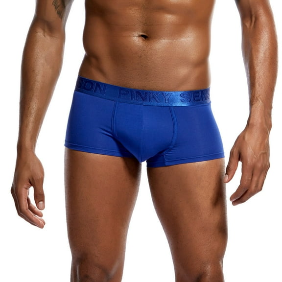 Bigersell Seamless Underwear Women Clearance Panties G-Strings Panty Style P-1569 Nylon Period Panties Ladies Thongs Seamless Briefs Mid Waist Women's Bikini Panties Blue L