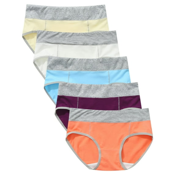 Bigersell No Show Panties 5 Pack Patchwork Cotton Brief Seamless Underwear Multi-Pack Plus Size No Lines Panties Ladies No Show Full Coverage Underpants H-Multicolor 4XL