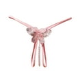 thumbnail image 1 of Bigersell Lace Underwear for Women Clearance Thong Underwear Tangas Panty Style P-1063 Spandex Shaping Panties No Show Thongs Ladies Briefs High Waist Women's Panties Pink One Size, 1 of 2