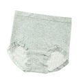 thumbnail image 1 of Bigersell Ladies Panties Clearance Plus Size Panties Period Panty Style P-1455 Spandex Thong Panties Thong Underwear Briefs High Waist Women's Panties Green F, 1 of 3