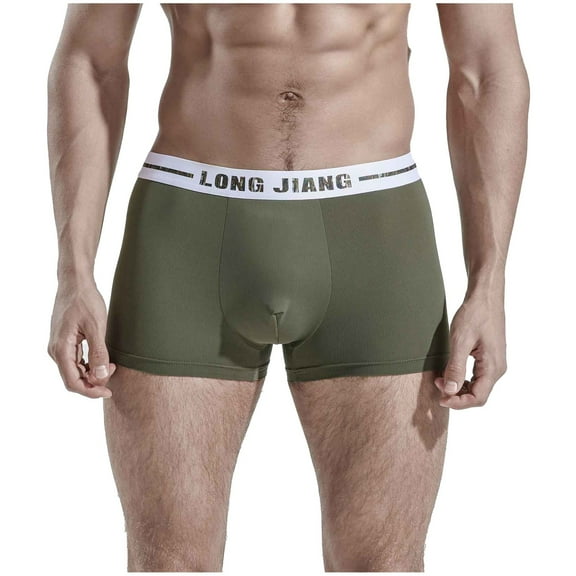 Bigersell String Bikini Underwear for Women Clearance Women's Briefs Seamless Panty Style P-1801 Polyester Bikini Panties Ladies Thong Briefs High Waist Women's Bikini Panties Army Green L