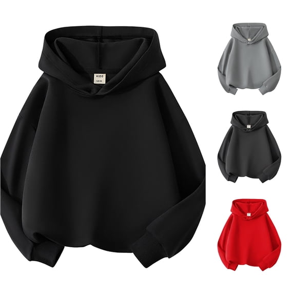 Bigetiay Toddler Unisex Basic Pullover Hoodie Solid Color Long Sleeve Warm Fall Clothes 3-4 Years
