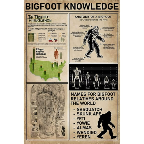 Bigfoot Knowledge Metal Poster Anatomy Of A Bigfoot Vintage Tin Sign Science Education School Cafe Bar Living Room Kitchen Bathroom Home Art Wall Decor Plaque Gift