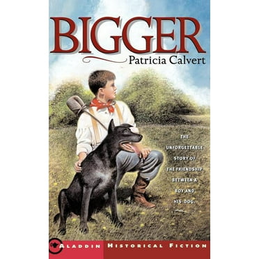 Bigger (Paperback)