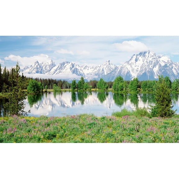 Biggies 120" Mountain Flower Photograph Window Well Scenes