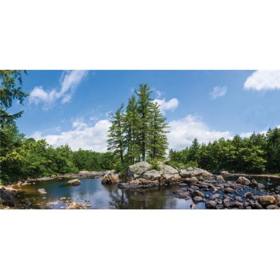 Biggies, Inc. WM-TRE-54 Wall Murals - Tree - Medium