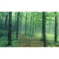thumbnail image 1 of Biggies 80" Path Window Well Scenes, 1 of 1