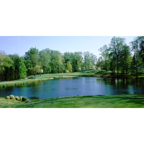 Biggies-Golf Murals-Bethesda 54"x27"