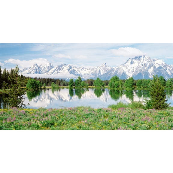 Biggies Mountain Flowers Photograph Wall Mural, Large
