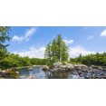 thumbnail image 1 of Biggies Tree Photograph Wall Mural, Large, 1 of 1