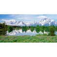 thumbnail image 1 of Biggies WM-MFW-80 Wall Murals - Mountain Flowers - Large, 1 of 1