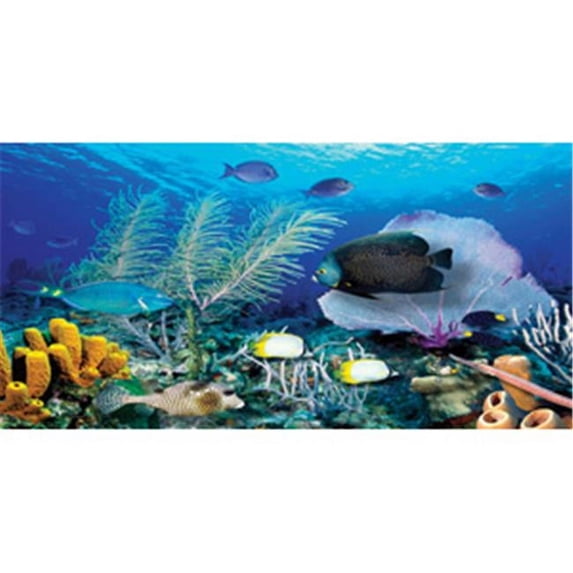 Biggies WM-ORF-54 Ocean Reef Wall Murals - Each