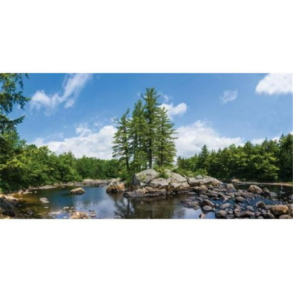 Biggies WM-TRE-120 Wall Murals - Tree -Extra Large