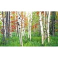 thumbnail image 1 of Biggies WW-WDS-120 Woods120 Window Well Scene, 1 of 1