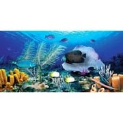 Biggies Wall Mural - Ocean Reef - Large