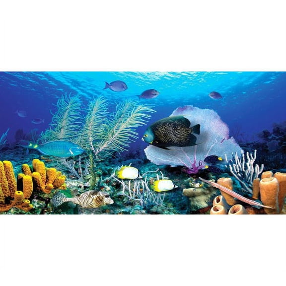 Biggies Wall Mural - Ocean Reef - Large