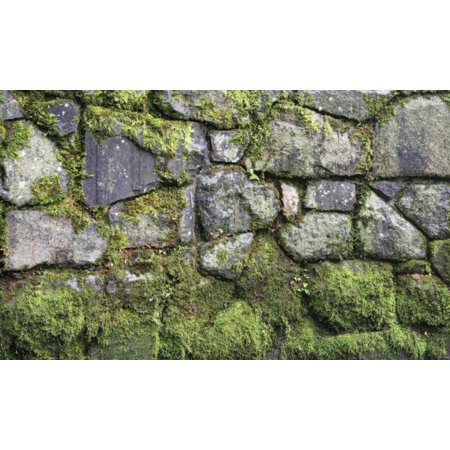 Biggies-Window Well Scene-Moss 80" X 40"