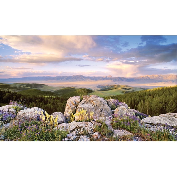 Biggies-Window Well Scenes-Sunrise-100"x60"