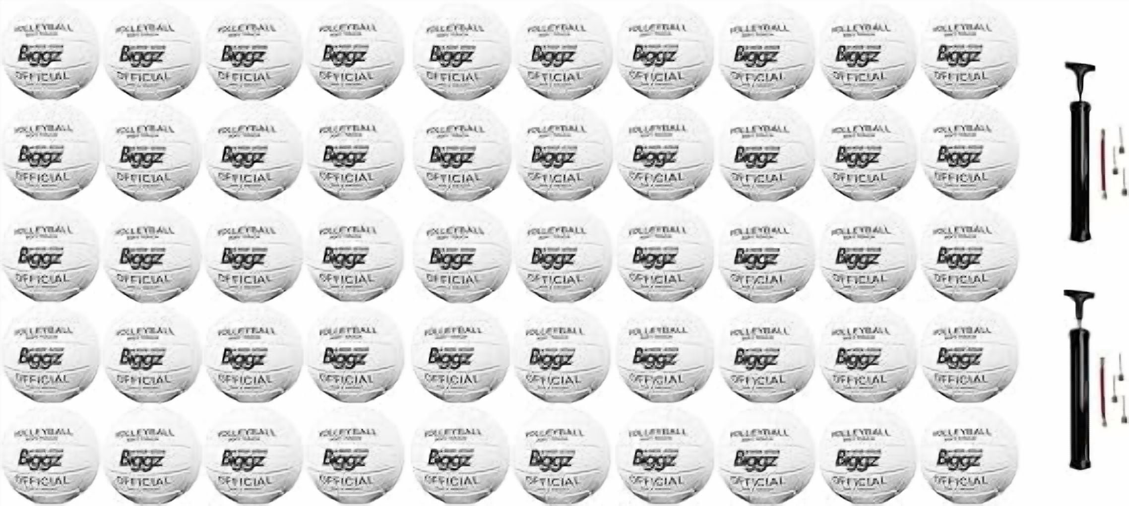 Biggz (50 Pack) Volleyballs - Soft Touch Leather - Indoor/Outdoor with Pumps