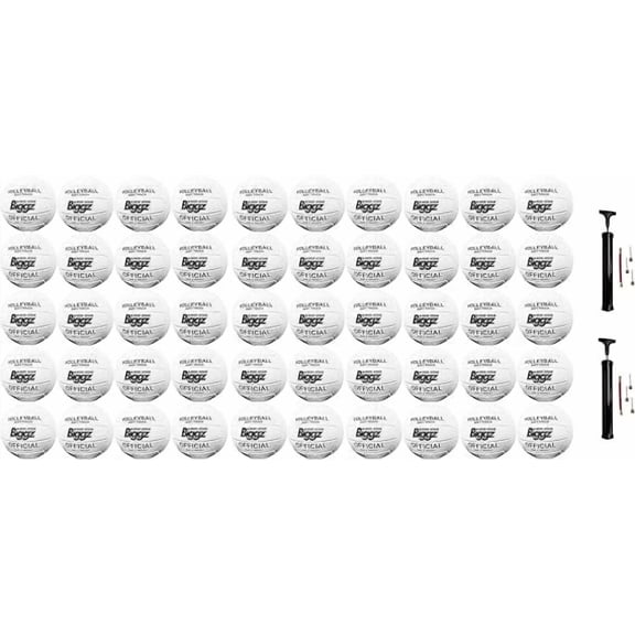 Biggz (50 Pack) Volleyballs - Soft Touch Leather - Indoor/Outdoor with Pumps