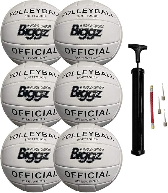 Biggz (6 Pack) Volleyballs - Soft Touch Leather - Indoor/Outdoor
