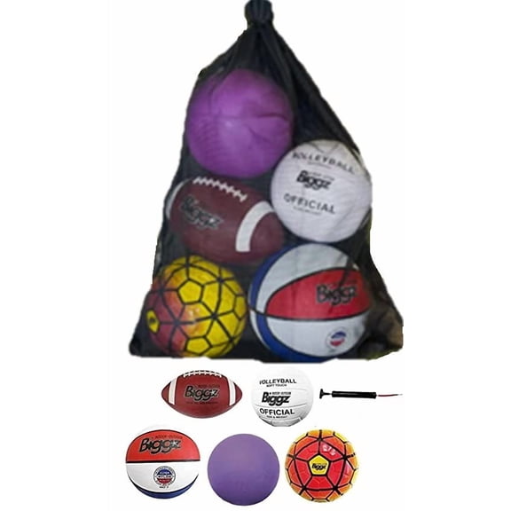 Biggz Bag of Sport Balls  Basketball, Soccer Ball, Football, Volleyball, Purple Playground Ball, and Pump