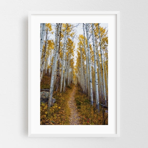 Bighorn Creek Trail - Vail Colorado Photography Autumn Woodland Forest Nature Scenic Landscape Woods White Framed Wall Art Print 5 x 7 inches