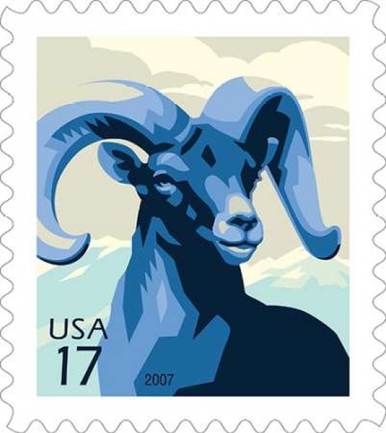 Bighorn Sheep Canvas Art - US POSTAL SERVICE (24 x 24)