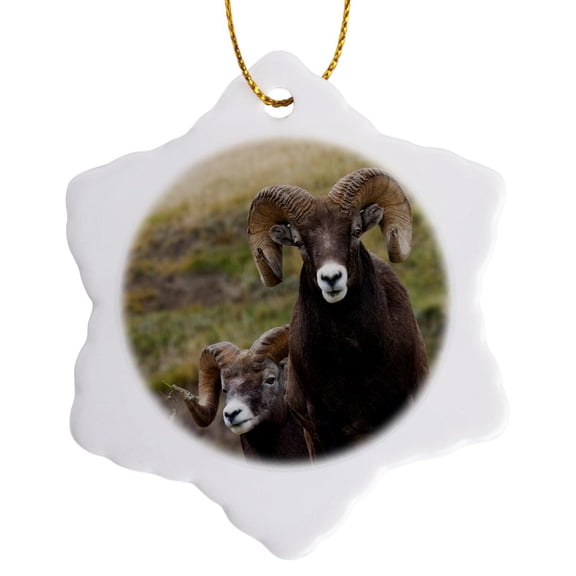 3drose, Bighorn Sheep Rams, 3 inch Snowflake Porcelain Ornament