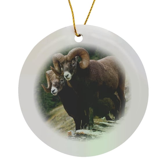 3drose, Bighorn Sheep Rams on the Mountainside, Circle Porcelain Ornament