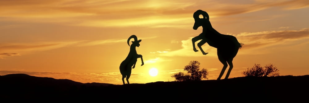 Bighorn Sheep sculptures at sunrise in Galleta Meadows Sky Art Desert Borrego Springs California USA Canvas Art - Panoramic Images (36 x 12)