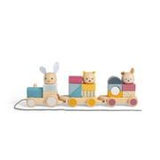 Bigjigs Toys - Activity Pull Along Train