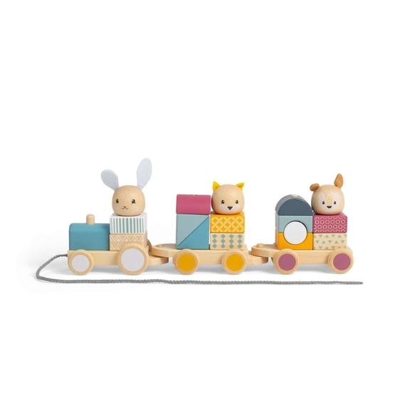 Bigjigs Toys - Activity Pull Along Train