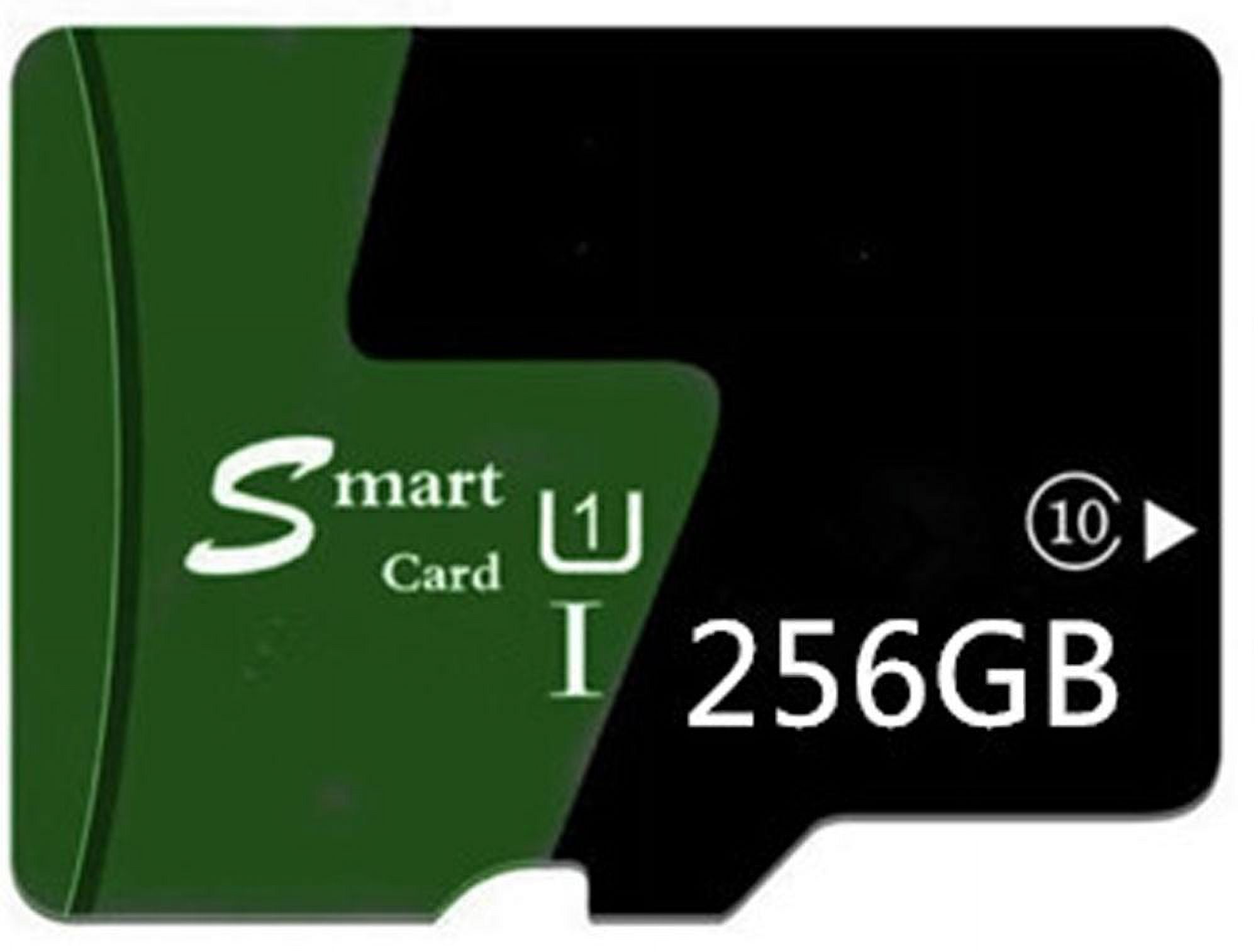 Bigpigworld 256GB Micro SD TF Flash Memory Card with Adapter - Walmart.com