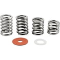 thumbnail image 1 of Bigsby Spring and Washer Assorted Pack Steel, 1 of 1