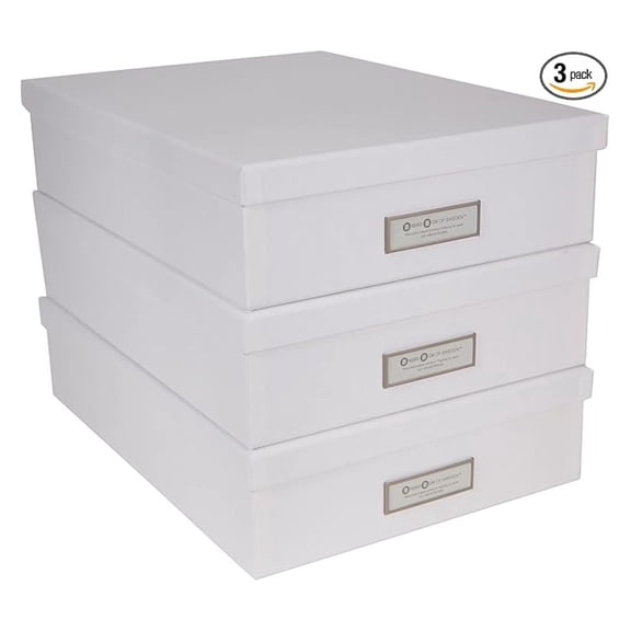 Bigso Oskar Fiberboard Label Frame Document Letter Box - File Organizer Box for Important Paperwork - Document Storage with a Lid & Metal Label Window - 3.3 in x 10.2 in x 13.8 in - 3 Pack - White