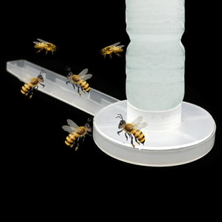 Beehive Drink Dispenser – A to Z Party Rental
