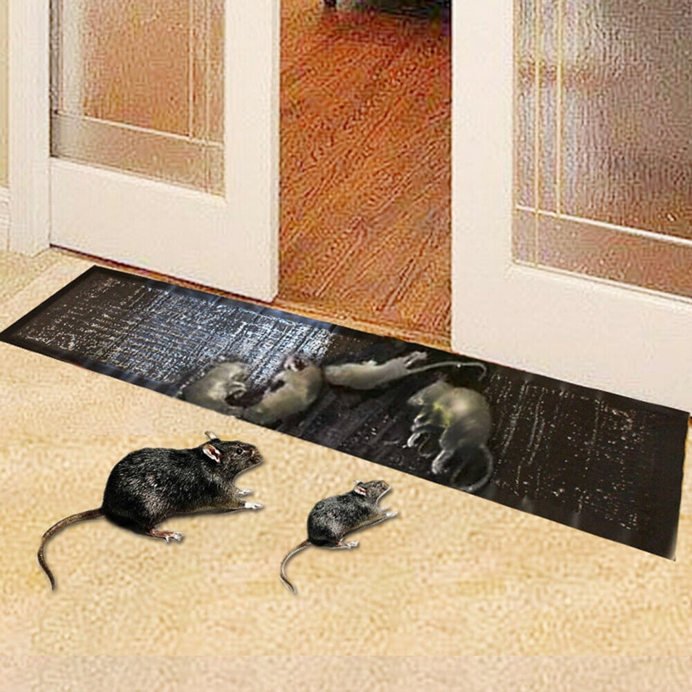 6 Glue Traps Super Hold Sticky Boards Mouse Rat Rodent Insect Pest